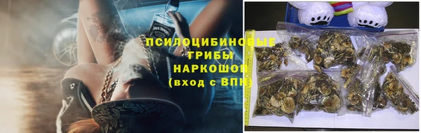 ПСИЛОЦИБИНОВЫЕ ГРИБЫ Армянск